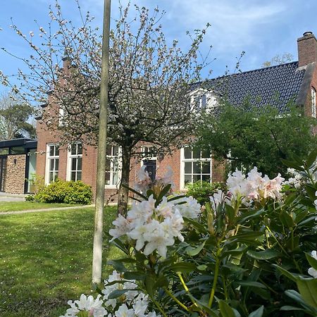 أورانييفاود Villa Royale المظهر الخارجي الصورة